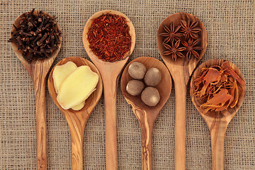 Image showing Spices