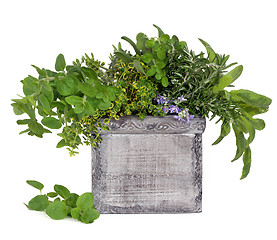 Image showing Fresh Herbs