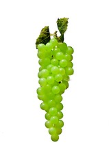 Image showing Bunch of grapes