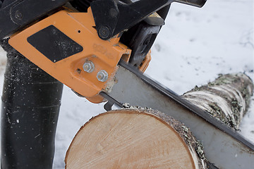 Image showing Chainsaw sawing logs birch