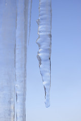 Image showing Icicles