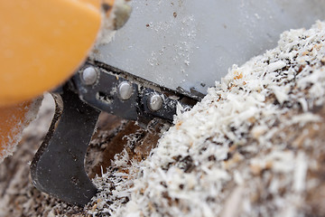 Image showing Chainsaw sawing logs birch