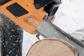 Image showing Sawing logs birch