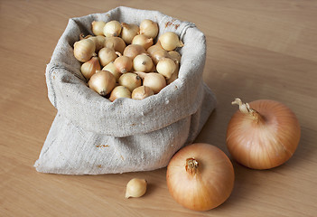 Image showing Onions in bag for planting