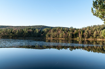 Image showing Autumn in the woods