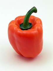 Image showing Single Orange Pepper