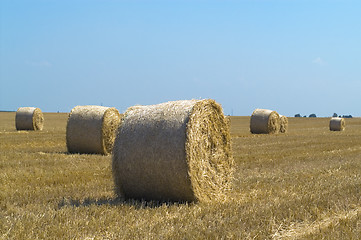 Image showing Bale on field