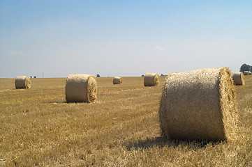 Image showing Bail of hay