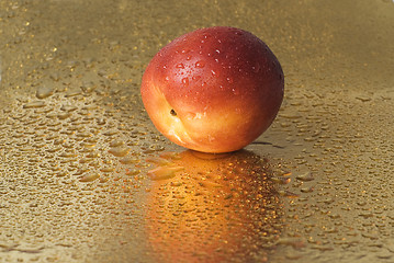 Image showing Nectarine