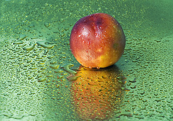 Image showing Wet nectarine