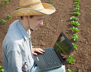 Image showing The young man  examines shoots of a potato