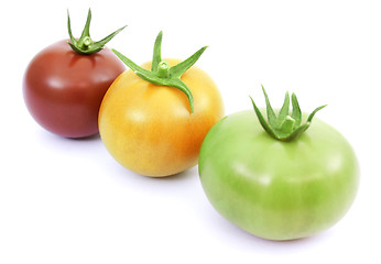 Image showing Tomatoes red, yellow and green