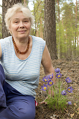 Image showing An elderly woman in the forest springtime
