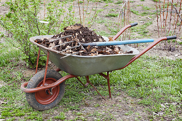 Image showing Humus mixed with oak leaf in wheelbarrow