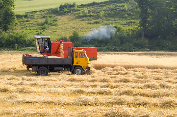 Image showing Harvest