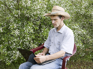 Image showing A young man in a cherry garden