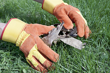 Image showing Work gloves