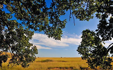 Image showing Summer landscape