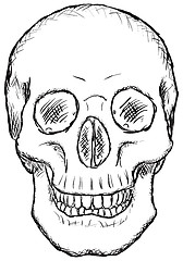 Image showing Skull - rough drawing