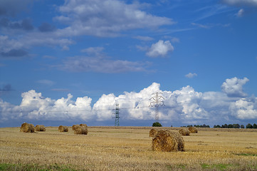 Image showing Bale of hay