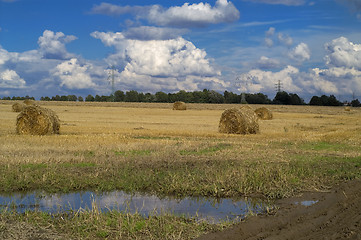 Image showing Bale of hay