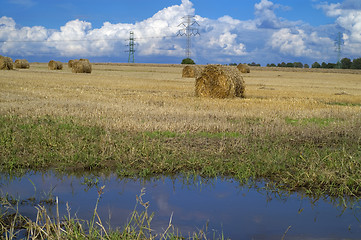 Image showing Hay on field