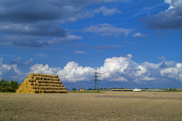 Image showing Pile of hay
