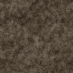 Image showing Distrerssed Leather Texture