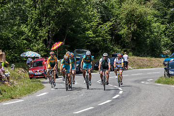Image showing Group of Amateurs Cyclists
