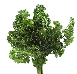 Image showing Parsley