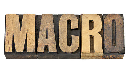 Image showing macro word in wood type