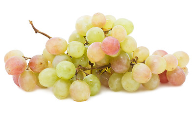 Image showing Grapes