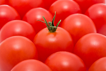 Image showing Tomatos