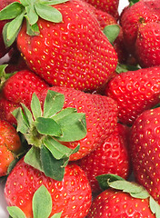 Image showing Strawberry