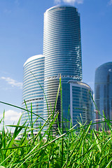 Image showing Nature and skyscraper