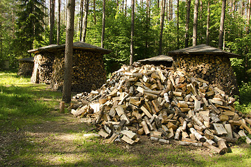 Image showing Pile of chopped stack firewood wood forest trees 