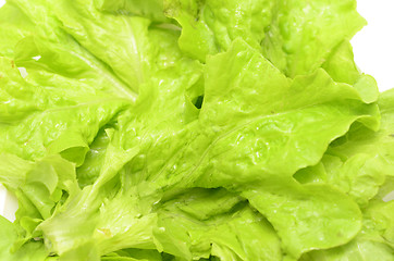 Image showing salad