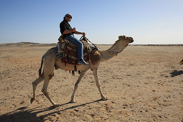 Image showing with the camel in the desert