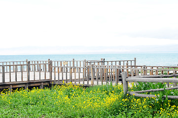 Image showing Wooden fence in the grassland