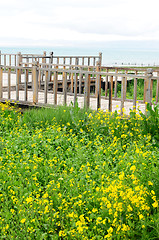 Image showing Wooden fence in the grassland