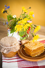 Image showing Still life with honeycombs, flowers and pot 