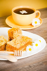 Image showing Still life with honeycombs, flowers and pot 