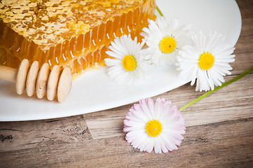 Image showing honeycomb with daisies on white plate 