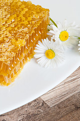 Image showing honeycomb with daisies on white plate 