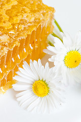 Image showing honeycomb with daisies on white plate 