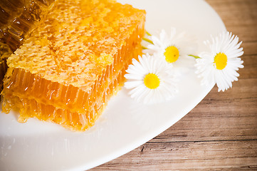 Image showing honeycomb with daisies on white plate 