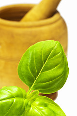 Image showing basil with mortar