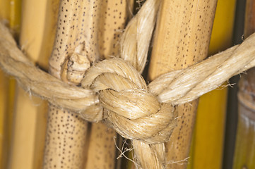 Image showing bunch of bamboo