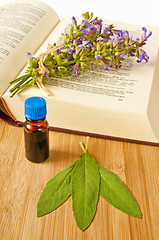 Image showing sage with herbal tincture and medieval book
