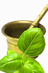 Image showing basil with mortar